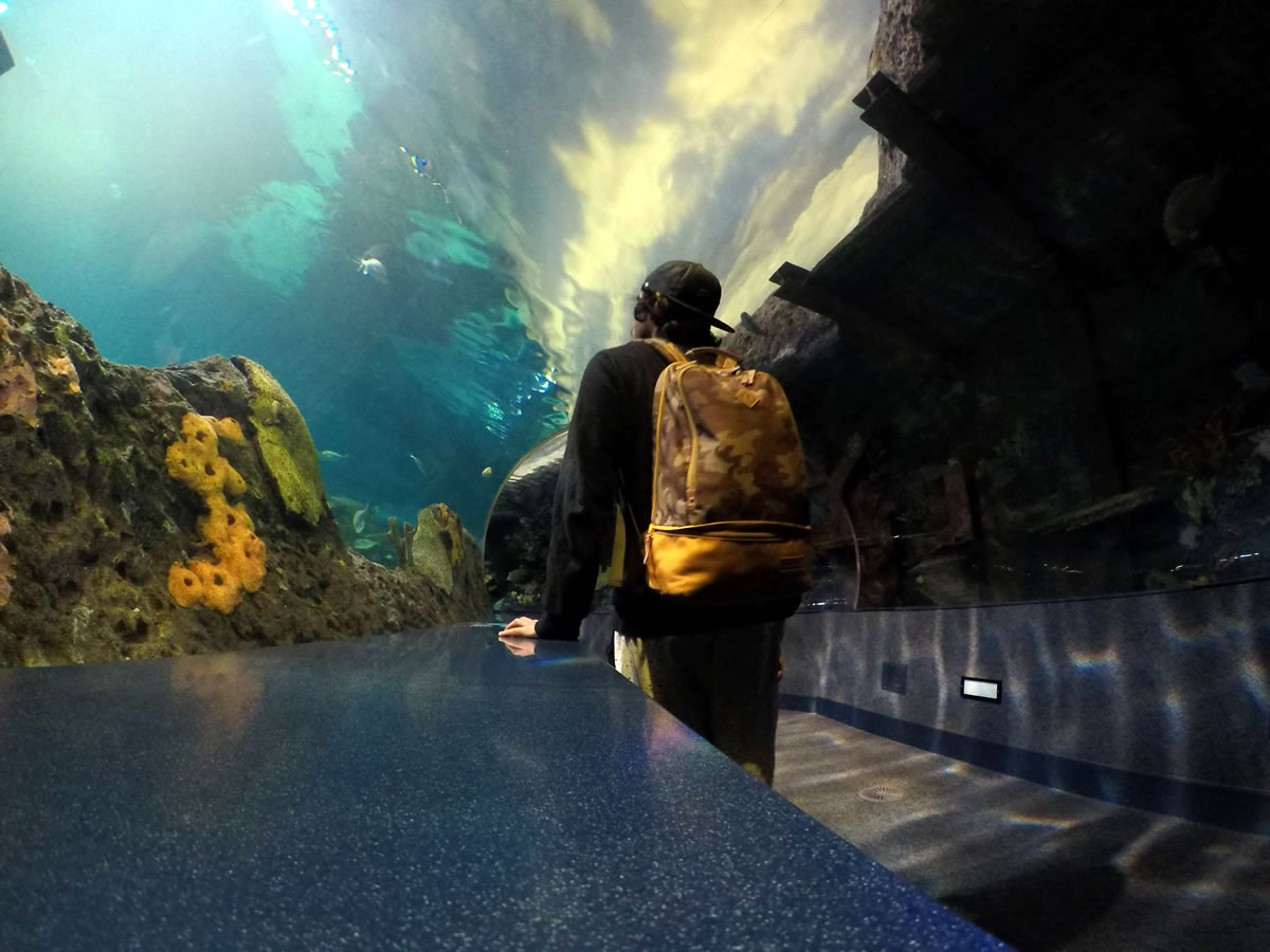 Una experiencia diferente Una experiencia diferente